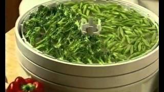 Healthmakers Ezidri Food Dehydrator