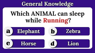 General Knowledge Questions About Animals | English Quiz Game | General knowledge quiz