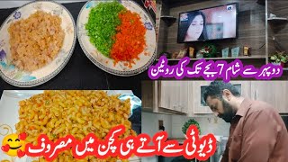 Day to Night routine / Daily Routine vlog / How to make chicken Macaroni @anayamalik