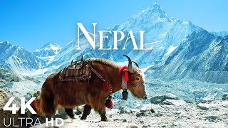 NEPAL4K - Scenic Relaxation Film with Peaceful Relaxing Music and Nature Video Ultra HD