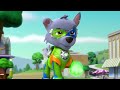 Meet the Mighty Pups Ft Chase, Rubble, Skye & More! 🐾 PAW Patrol Nick Jr