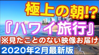 【ハワイ旅行・滞在中・希少映像!?】 もっとも旬なハワイ映像 2020年2月最新版 JALで行くハワイ ハワイ好き必見 自宅でハワイ気分 ワイキキ観光 ハワイ観光 | Waikiki Hawaii