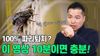 당신이 몰랐던 궁극적인 비밀, 파리를 100% 퇴치하는 방법 | 최고 전문가가 알려주는 파리퇴치 솔루션!