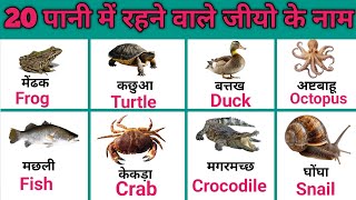 20 पानी में रहने वाले जीवो के नाम |water animals name |water animals?