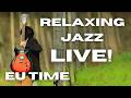 Frankie Lives! 🔴 Live Jazz Guitar Radio 🎸 Relaxing Music to Study/Chill! Doctor Groove delivers