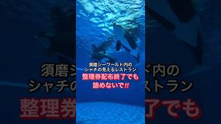 【須磨シーワールド】シャチが見えるレストラン#オルカショー #水族館 #神戸