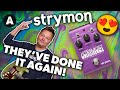 Strymon Ultraviolet - Another Win for Strymon!