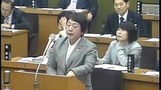 枚方市議会　平成28年12月定例月議会　野村生代議員