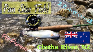 【Fly Fishing New Zealand】Clutha river from Lake Wanaka. ニュージーランドでフライフィッシング ワナカ湖から流れるクルーザリバー