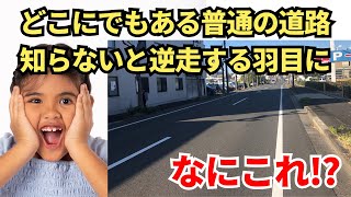 【知らないと逆走する羽目に】特殊な一方通行/なにこれ？珍道路