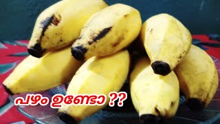 ചെറുപഴം ഉണ്ടോ?Small banana recipe/Alfa's kitchen