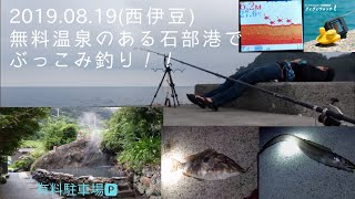 西伊豆の石部港でぶっこみ釣り(2019.08.18)ぎょぎょウォッチ調査