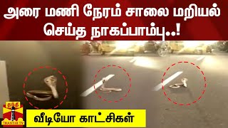 சாலையின் நடுவே படமெடுத்து ஆடிய நாகப்பாம்பு - வீடியோ காட்சிகள்