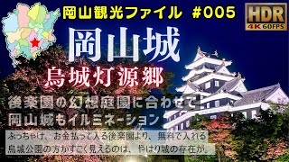 岡山城ライトアップ 烏城灯源郷2024春 幻想庭園 #岡山観光ファイル