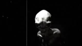 The Alien Interview (Part 2)
