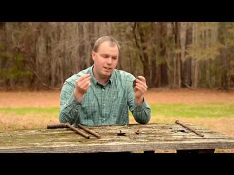 Predator Trapping Staking Options Youtube