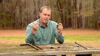 Predator Trapping - Staking Options