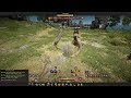 bdo awakening hashashin 293 301 368 vs sorc awakening 310 313 377