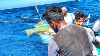 தொடர்சியாக தூண்டிலில் பிடித்த தரமான மீன்கள் | Consecutive bait favorite quality fish