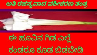 ಈ ಹೂವಿನ ಗಿಡ ಎಲ್ಲೆ ಕಂಡರೂ ಕೂಡ ಬಿಡಬೇಡಿ ಅತಿ ರಹಸ್ಯವಾದಂತಹ ವಶೀಕರಣ ತಂತ್ರ