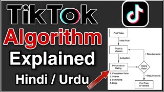 TikTok Algorithm (Software) Explained | With Live Example | Hindi / Urdu