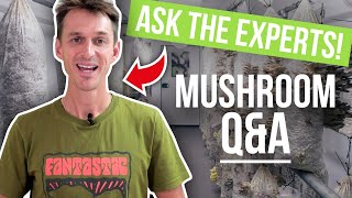 Ask Us YOUR Mushroom Growing Questions | GroCycle