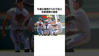 『不遇な環境』から下剋上を果たした京都国際の秘密に関する雑学 #高校野球 #甲子園 #京都国際 #雑学 #野球