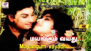 Mayangum vayadhu 4K | மயங்கும் வயது | T. M. Soundararajan and P. Susheela | M. S. Vishwanathan