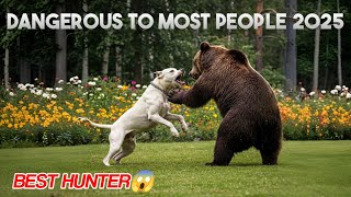 TOP 10 Hunting Dogs You Shouldn't Underestimate