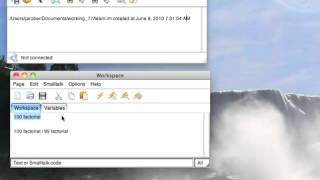 Tutorial: VisualWorks Basic Introduction - Dynamic Typing