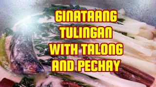 GINATAANG TULINGAN WITH TALONG AND PECHAY