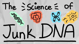 What is "Junk DNA?" Do We Need Them?