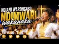 Ndiani Waronga Kudai | NdiMwari Wakanaka | Acoustic Voices 