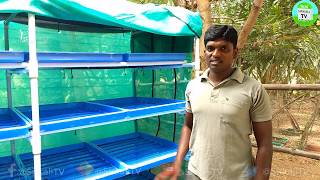 ஹைட்ரோபோனிக்ஸ் அரசு தரும் 75% மானியம் | 75% government subsidy on Hydroponics Fodder Cultivation