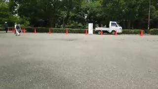 水元公園 かわせみの里へ歩く