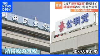 自民党と公明党が経済対策を提言　「所得税の減税」は盛り込まず　「還元」や「減税」を強調した岸田総理の発信の仕方に問題があったと指摘する声も｜TBS NEWS DIG