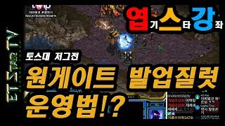 [이티] 저그전 원게이트 발업질럿 운영!! | 엽기스타강좌(리마스터)