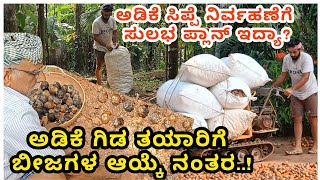 ಹೊಸ ಅಡಿಕೆ ಗಿಡ ತಯಾರಿಗೆ ಸಿದ್ಧತೆ ಹೇಗೆ? | ಅಡಿಕೆ ಸಿಪ್ಪೆ ಏನ್ ಮಾಡೋದು ನೋಡಿ |Agricuture Video|Farming Video |