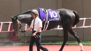 ヒシイグアス、宝塚記念のパドック。現地映像、阪神競馬場。２０２２年６月２６日