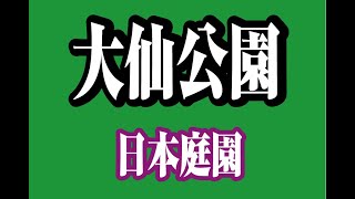 堺市大仙公園の日本庭園2021年3月　インスタ映えスポット。