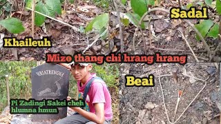 Ram vah leh Mizo thang chi hrang hrang kam dan