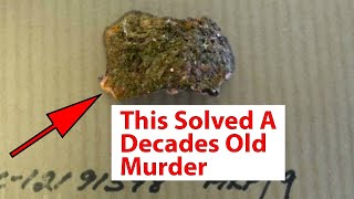 5 Cold Cases Solved Years Later | True Crime Documentary