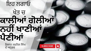 ਇਹ ਖੇਤ ਚ ਲਗਾ ਲਓ ਕਾਲੀਆ ਗੋਲੀਆਂ ਨਹੀਂ ਖਾਣੀਆਂ ਪੈਣੀਆਂ Best Kitchen Garden for Healthy Family