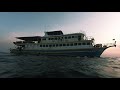 2020泰國thailand斯米蘭similan潛水船宿liveaboard