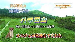 【八甲田山】202307  八甲田山大岳に行ってきました。酸ヶ湯温泉～八甲田山～毛無岱のルートです。途中でオコジョが出迎えてくれました。