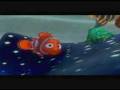 Finding Nemo : Amnemonemomne