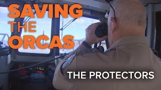 Saving the Orcas: The Protectors
