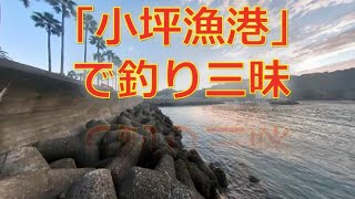 0052 逗子市「小坪漁港」で釣り三昧