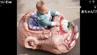 【コメ付き】吹いたら負けwおもしろ画像集【世界のおもしろ動画チャンネル】