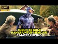 Ras Alien Turun Ke Bumi Hanya Untuk Mencari Enam Mayat Kucing - ALUR CERITA FILM